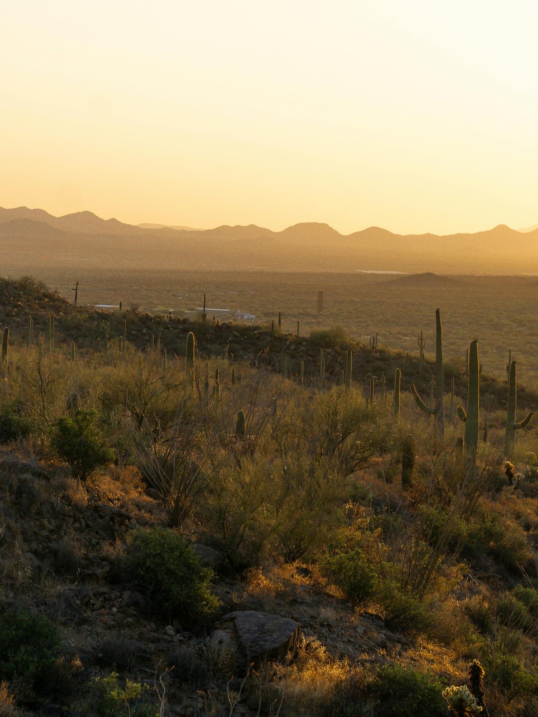 Wide Arizona mountain vista at sunrise, layered ridges against warm amber sky.
